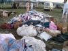 Volunteers of voice are distributing goods at Nowshera, Khyber Pakhtunkhwa – Flood 2010