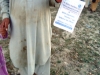 Volunteers of voice are distributing goods at Nowshera, Khyber Pakhtunkhwa – Flood 2010